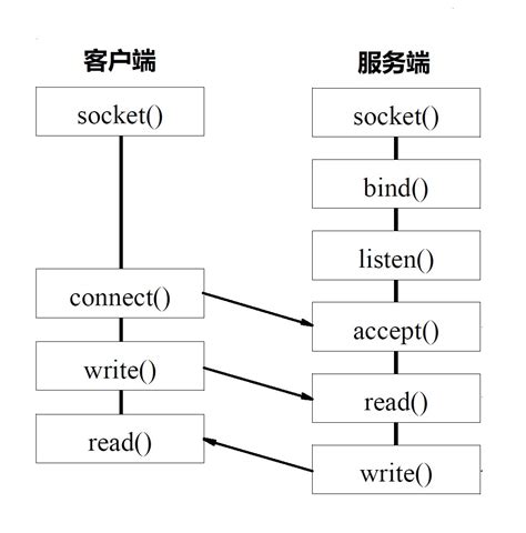 ccw编程教程