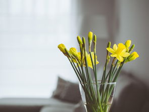 小伙花十几万断骨增高致终身伤残