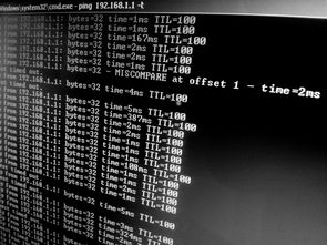 Ping命令详解，网络诊断的利器