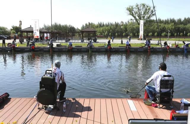 生活经验指什么？掌握这6个关键点，让你的人生少走弯路更从容