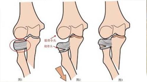 什么叫生活经验?掌握这5个方法让你少走弯路,人生更轻松快乐 什么叫生活经验?掌握这5个方法让你少走弯路,人生更轻松快乐