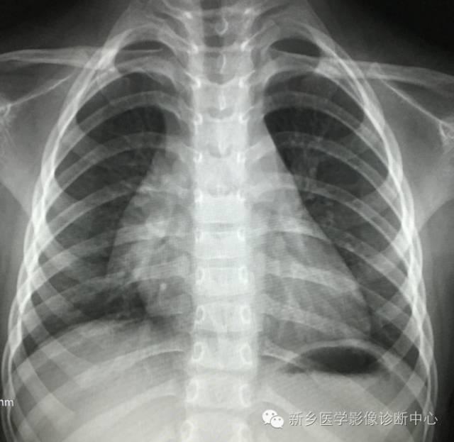 生活经验的定义：掌握日常智慧，轻松应对人生挑战