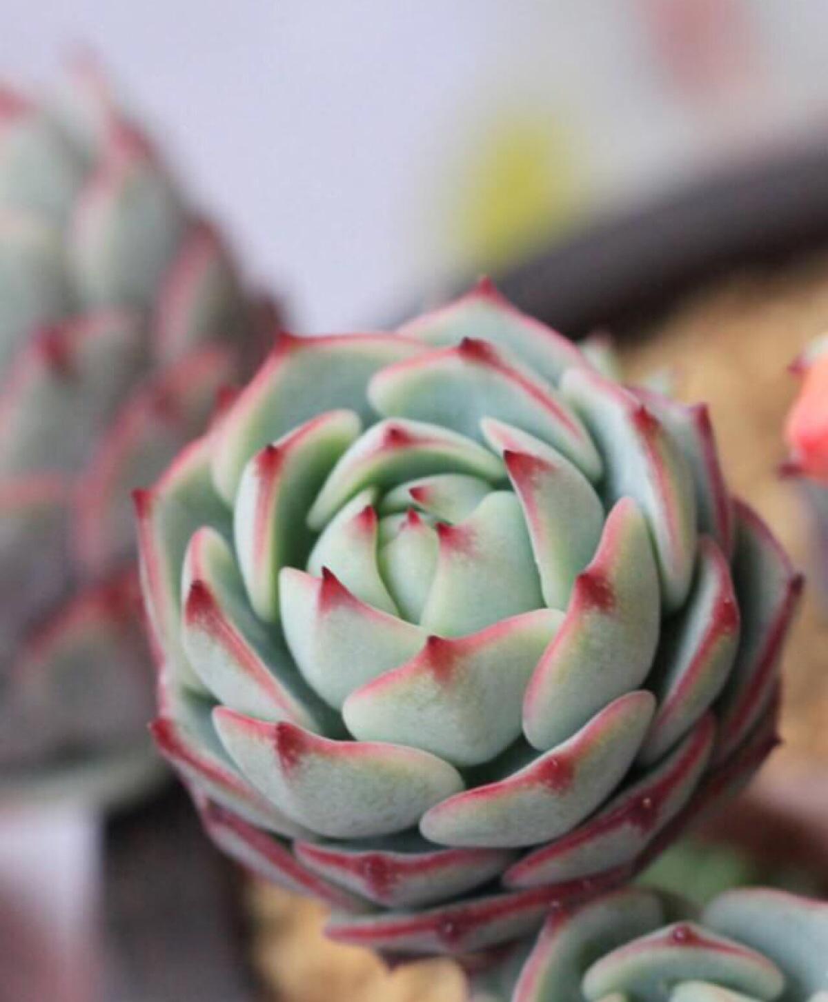 生活经验包括哪些方面?掌握这5个维度,让你的人生少走弯路 生活经验包括哪些方面?掌握这5个维度,让你的人生少走弯路