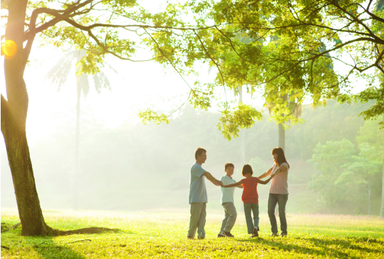 生活经验分享案例:从平凡日常中打捞诗意,让真实瞬间绽放动人光芒 生活经验分享案例:从平凡日常中打捞诗意,让真实瞬间绽放动人光芒