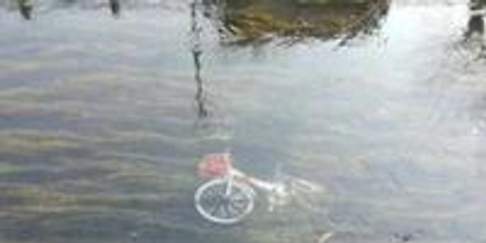 生活经验分享案例:从平凡日常中打捞诗意,让真实瞬间绽放动人光芒 生活经验分享案例:从平凡日常中打捞诗意,让真实瞬间绽放动人光芒