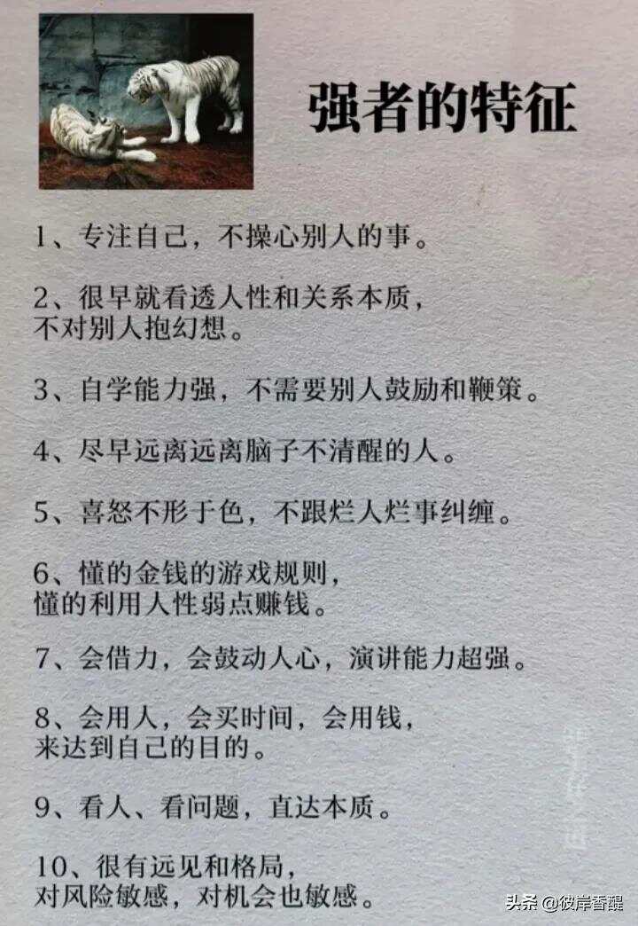总结生活经验的句子:用智慧箴言解决人生困惑的实用指南 总结生活经验的句子:用智慧箴言解决人生困惑的实用指南