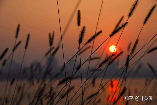 生活经历分享：为什么值得说出藏在记忆深处的故事，以及如何发现和表达