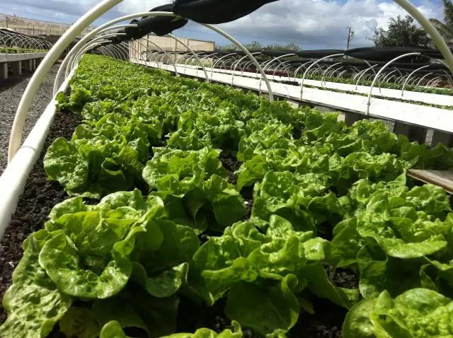 生活经验怎么形容?5个技巧让你轻松表达个人智慧,解决沟通难题 生活经验怎么形容?5个技巧让你轻松表达个人智慧,解决沟通难题