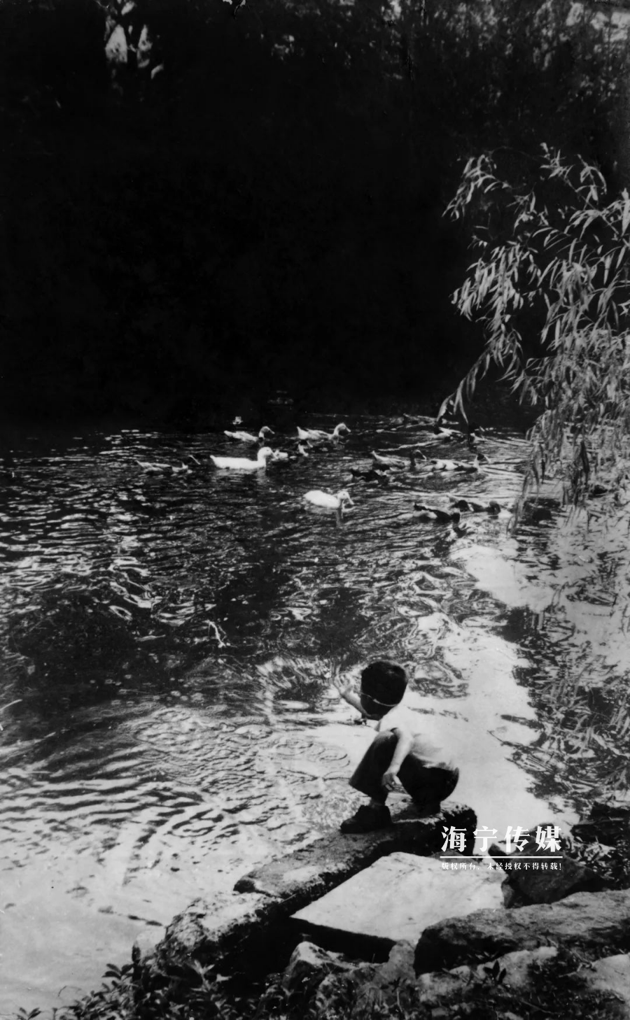 生活经验图片:用真实画面记录日常,让记忆更有温度 生活经验图片:用真实画面记录日常,让记忆更有温度