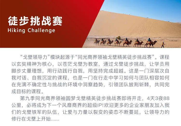 生活经验总结简短20字:让智慧浓缩,轻松掌握人生精髓 生活经验总结简短20字:让智慧浓缩,轻松掌握人生精髓