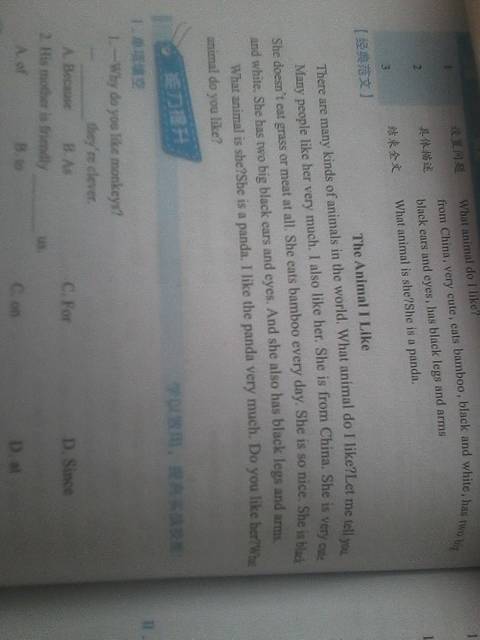 生活经历英语作文50词写作技巧：从入门到精通，轻松拿高分