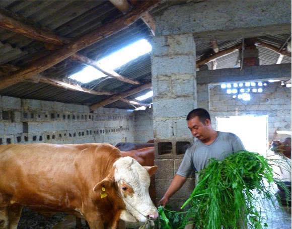 生活经验和生活常识是什么？掌握这些让你生活更轻松快乐